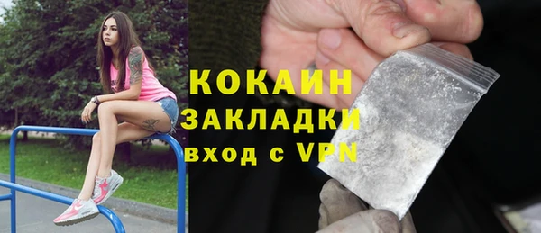 кокс Алексин